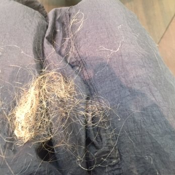 Bradley & Diegel Salon - Hair breakage after Yasmeen colored my hair - Hair Salons Near Me - Boston, Massachusetts Bradley & Diegel Salon - Hair breakage after Yasmeen colored my hair - Hair Salons Near Me - Boston, Massachusetts