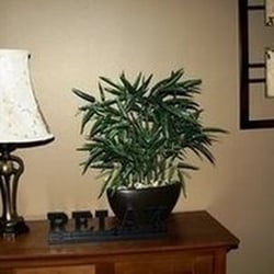 Sailer Chiropractic Center- Tonia M. Sailer, D.C