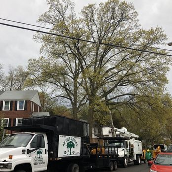 Ax Tree Services - The equipment and crew. - Landscaping Near Me - Bealeton , Virginia
