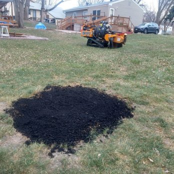 Omaha Stump Guy - Tree Stump Removal with Topsoil and Overseeding. - Landscaping Near Me - Omaha, Nebraska Omaha Stump Guy - Tree Stump Removal with Topsoil and Overseeding. - Landscaping Near Me - Omaha, Nebraska