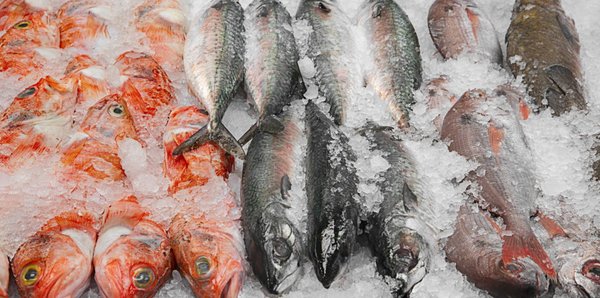 Osler Fish Market by null