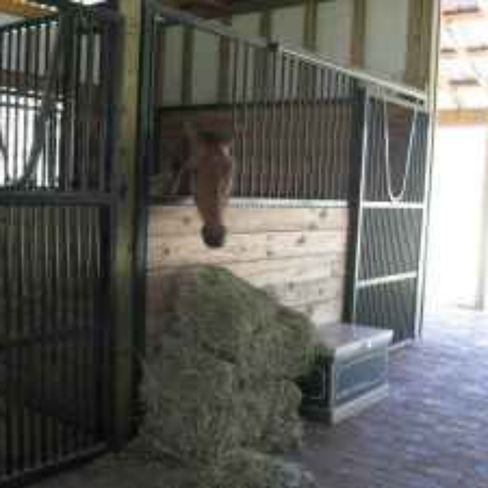 Top 10 Best Dressage in Orlando, FL Last Updated August 2021 Yelp