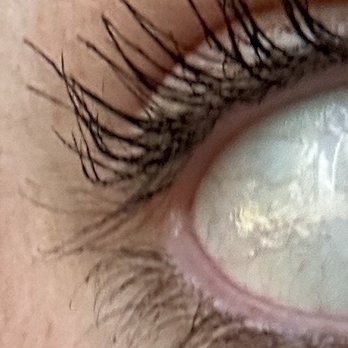 Serenitys Beautique - even mascara doesn't really help, still very much over processed and bent - Eyelash Service Near Me - Ithaca, New York Serenitys Beautique - even mascara doesn't really help, still very much over processed and bent - Eyelash Service Near Me - Ithaca, New York