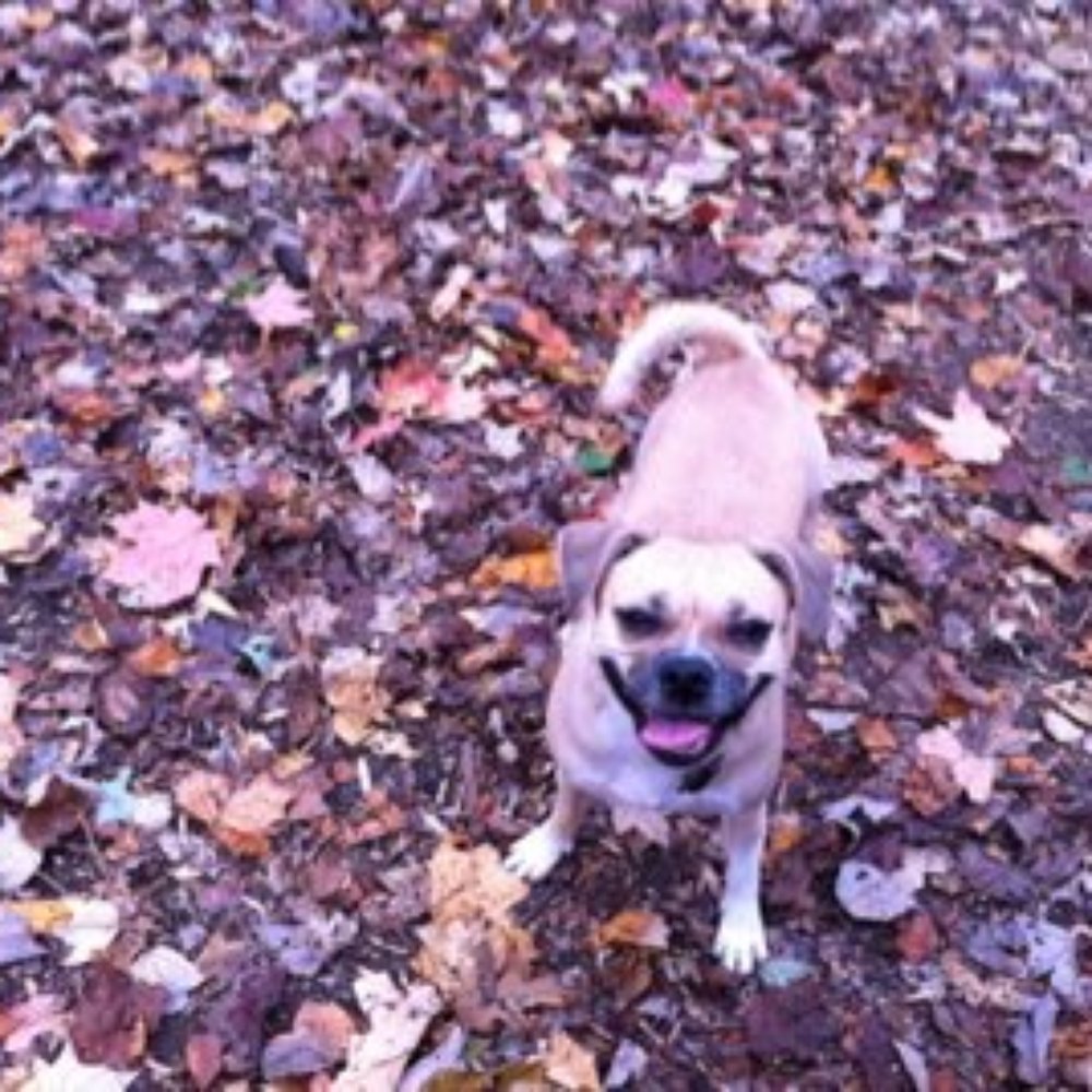 Big smiles!