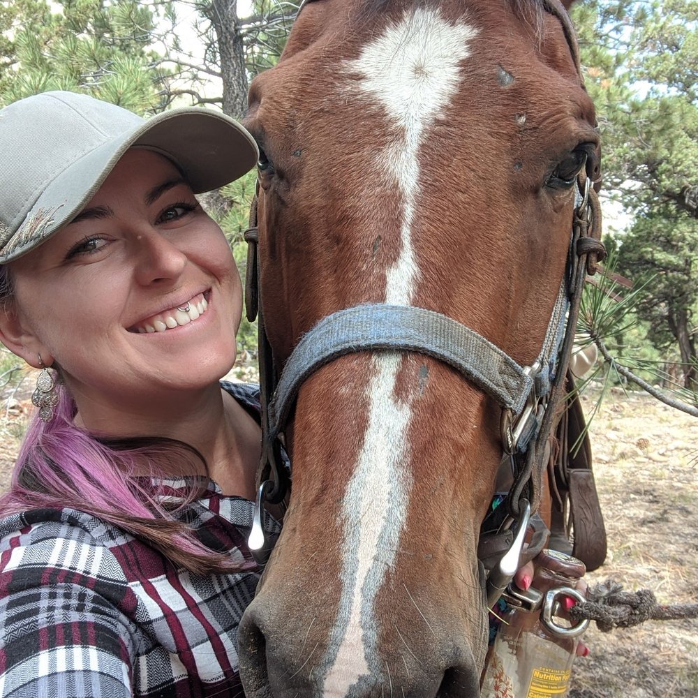 Leavitt Meadows Pack Station - He was such a good boy. - Horseback Riding Near Me - Bridgeport, California Leavitt Meadows Pack Station - He was such a good boy. - Horseback Riding Near Me - Bridgeport, California