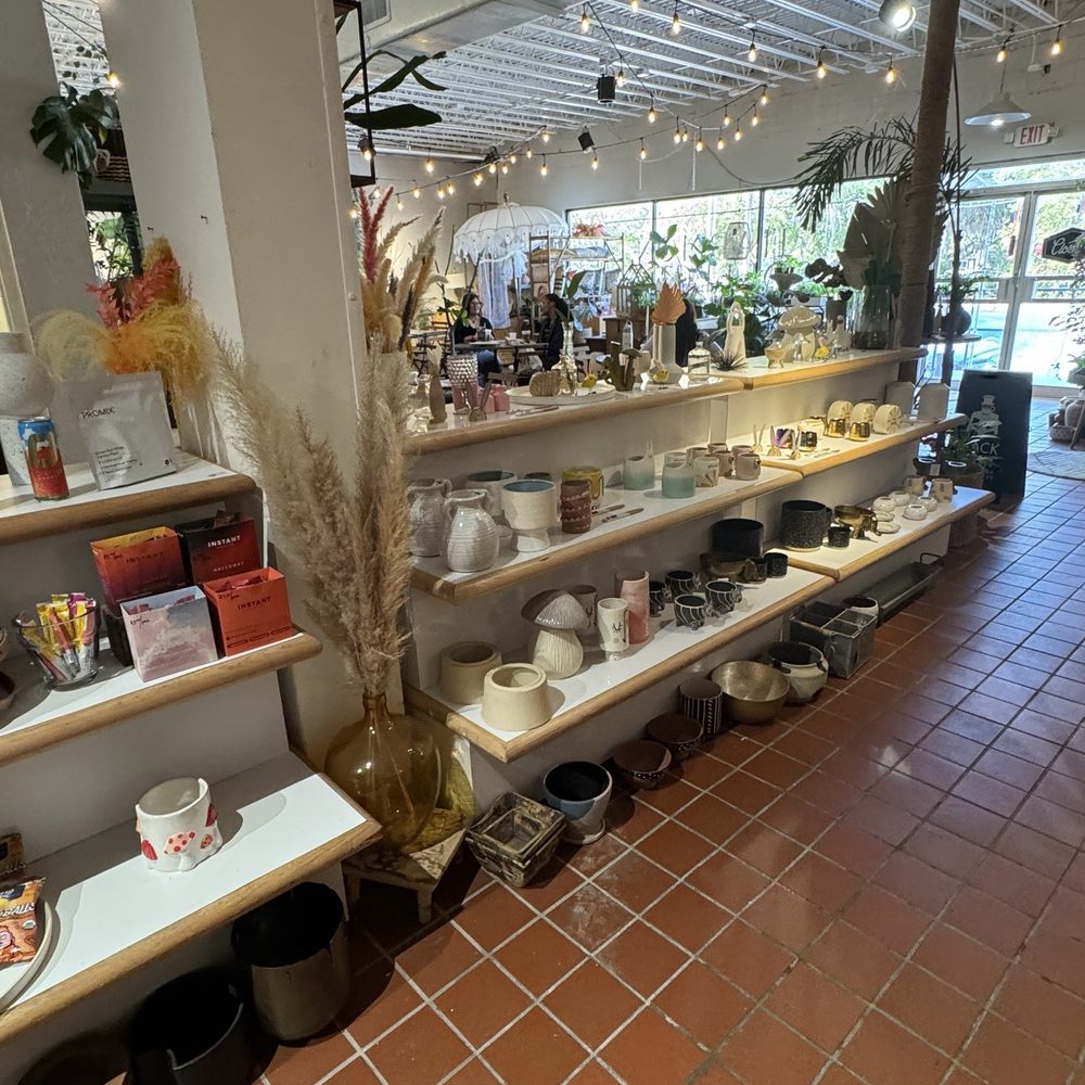 Black Phin - Coffee & Tea Near Me - Winter Park, Florida Black Phin - Coffee & Tea Near Me - Winter Park, Florida