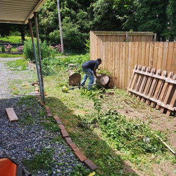 Antwans Handyman Service - Antwan cutting down overgrown brush and removing large logs - Handyman Near Me
