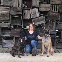 K9 Innovations - Buddy & Mindy & me