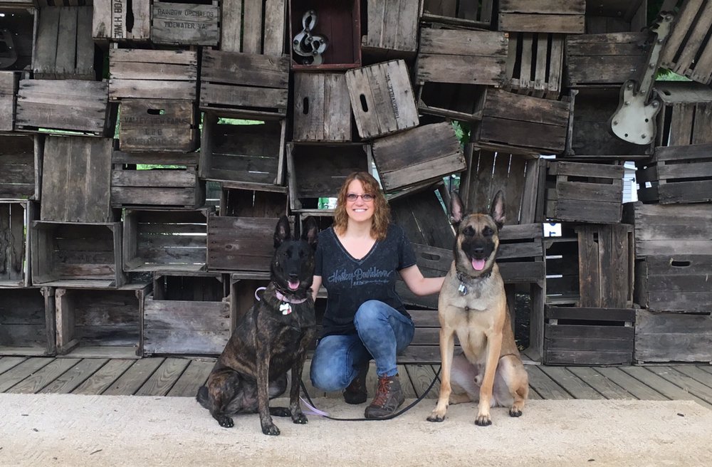 K9 Innovations Image