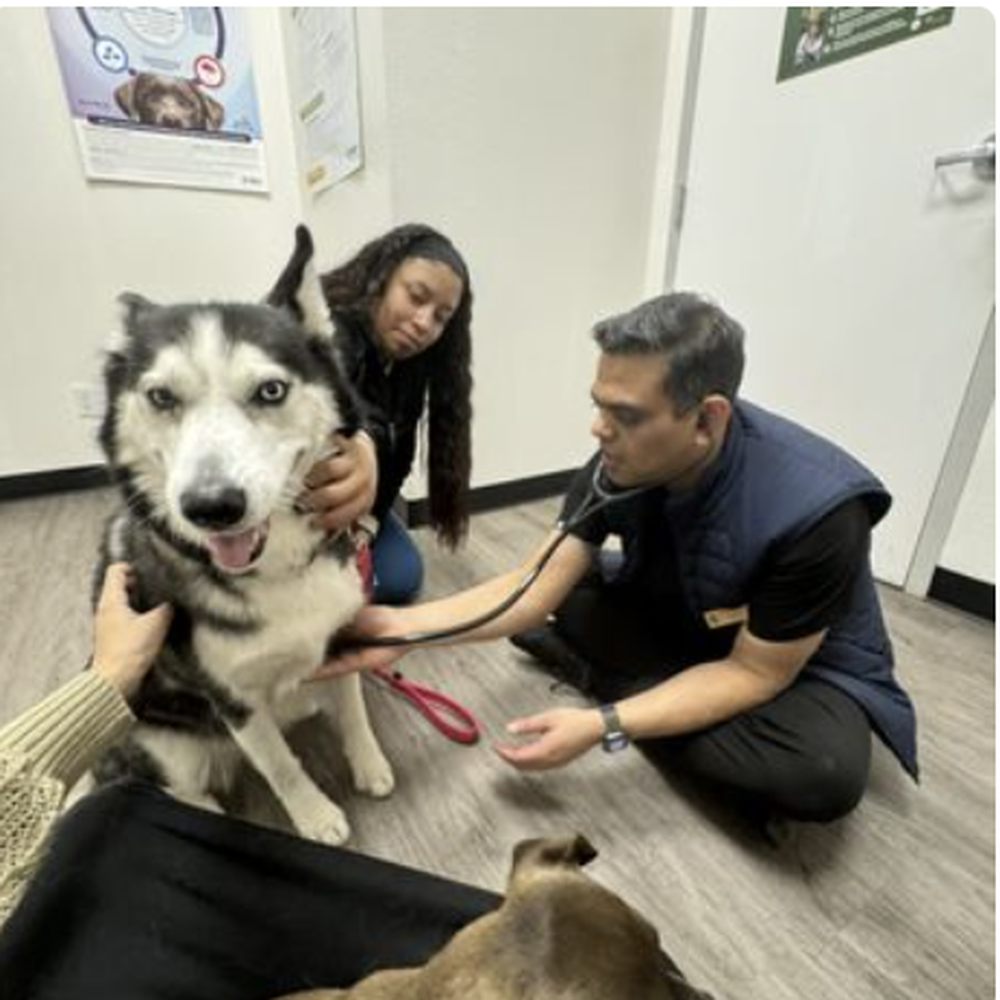 TOP 10 BEST Low Cost Spay Neuter in Fairfield, CA - Updated 2026 - Yelp