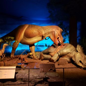Milwaukee Public Museum - Museums Near Me - Milwaukee, Wisconsin Milwaukee Public Museum - Museums Near Me - Milwaukee, Wisconsin