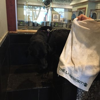 The Laundromutt - Pet Groomers Near Me - Ketchum, Idaho
