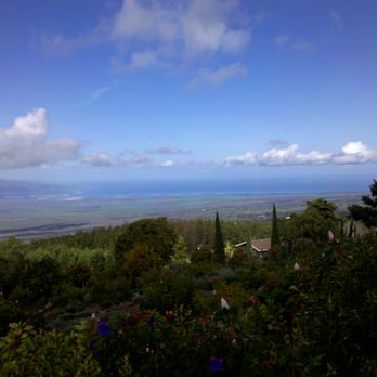 Ali'i Kula Lavender - The view from Ali'I Kula was amazing! - Tours Near Me - Kula, Hawaii