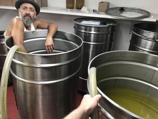 Ojai Olive Oil by null