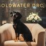 Photo of Goldwater Droit