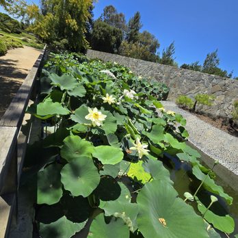 The Japanese Garden - Botanical Gardens Near Me - Van Nuys, California