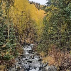 Threemile Creek Trail