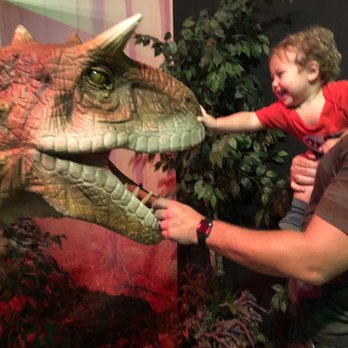 Dino Park - Petting a dinosaur - Children's Museums Near Me - Myrtle Beach, South Carolina Dino Park - Petting a dinosaur - Children's Museums Near Me - Myrtle Beach, South Carolina