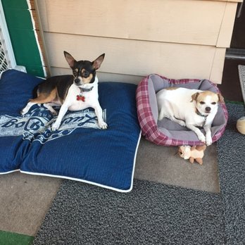 PetSmart - Pet Stores Near Me - West Covina, California PetSmart - Pet Stores Near Me - West Covina, California