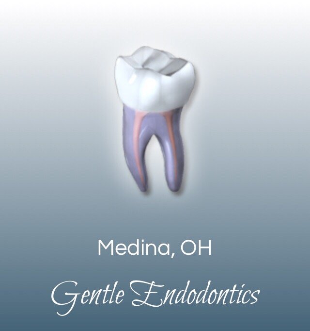 NIVINE Y ELREFAI, BDS DDS MSD GENTLE ENDODONTICS Updated October