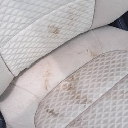 Rover Ranch & Spa - Car seat after Rover Ranch 24hr stay. Initially, I thought it was dog feces.