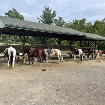 Woodstone Meadows Stables - Horses - Horseback Riding Near Me - Mc Gaheysville, Virginia