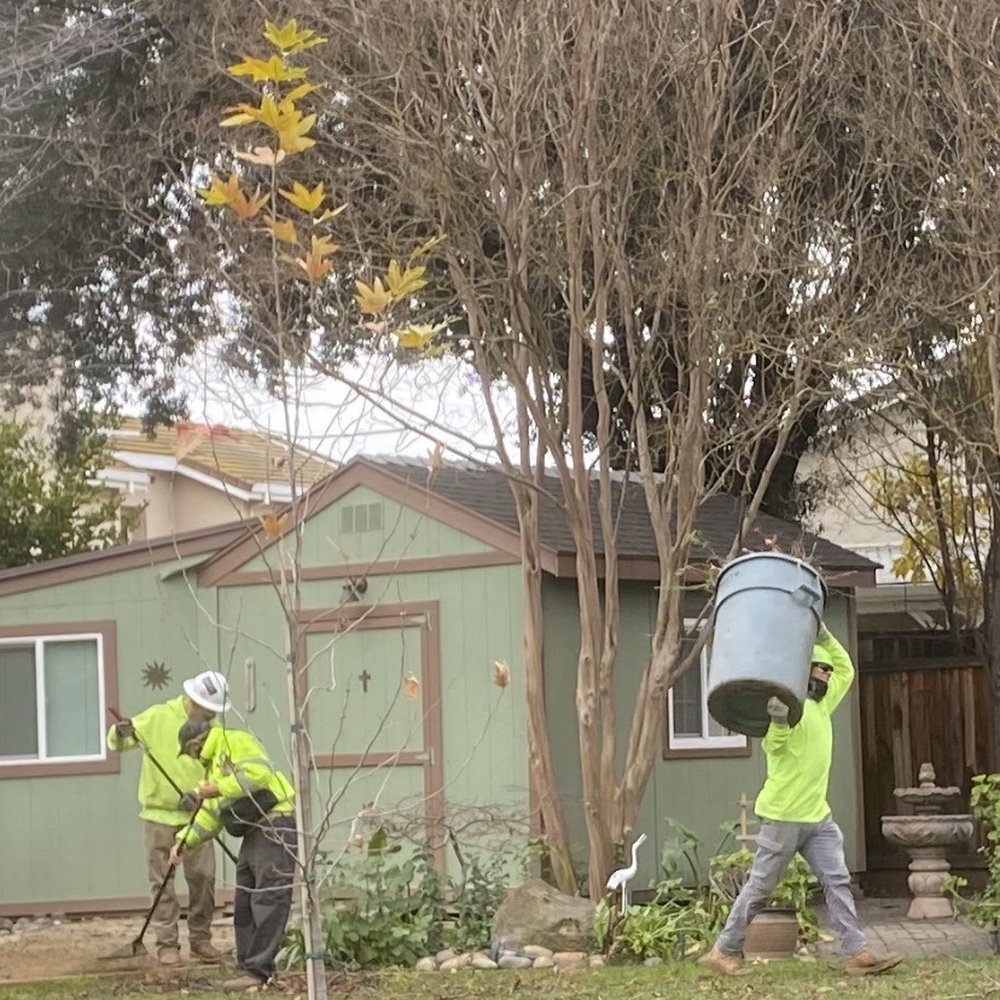 Turf-N-Tree - After job clean up! - Landscaping Near Me - Tracy, California