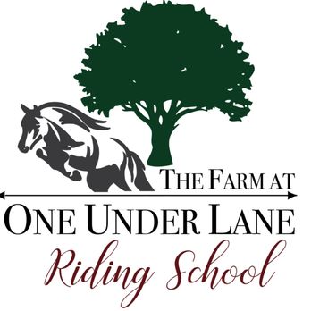 The Farm at One Under Lane - Horseback Riding Near Me - Lugoff, South Carolina The Farm at One Under Lane - Horseback Riding Near Me - Lugoff, South Carolina