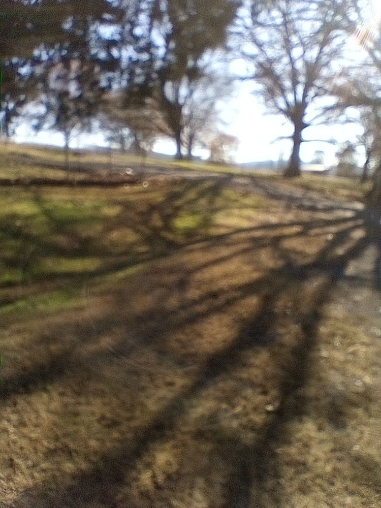 Slide of Affordable Lawn Care & More