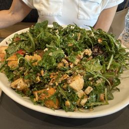 Earth Bowl - A sizable salad bowl contains mixed greens, roasted chicken pieces, chopped nuts, and other vegetables, served at a restaurant.