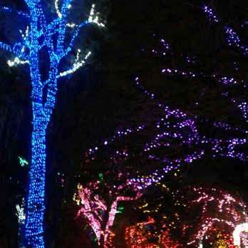 Zoolights - Trees - Zoos Near Me - Phoenix, Arizona