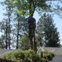 Curtis Point Tree Service