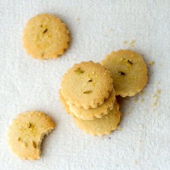Douglas Sweets - Wee Fennel & Anise Shortbread Bites - Specialty Food Near Me - Shelburne, Vermont Douglas Sweets - Wee Fennel & Anise Shortbread Bites - Specialty Food Near Me - Shelburne, Vermont