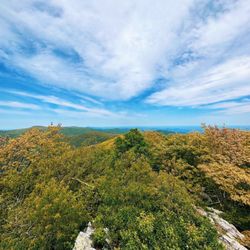 Hawksbill Trail