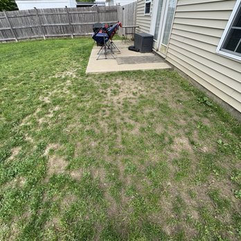 BW Outdoor Solutions - Picture of grass growing in aeration holes. - Lawn Services Near Me