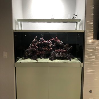 Deep Sea Creations - Aquarium - Aquarium Services Near Me - Temecula, California Deep Sea Creations - Aquarium - Aquarium Services Near Me - Temecula, California