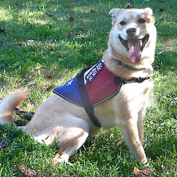 Frazier Park - Ronnie loves thr Frazier Dog Park. - Dog Parks Near Me - Charlotte, North Carolina