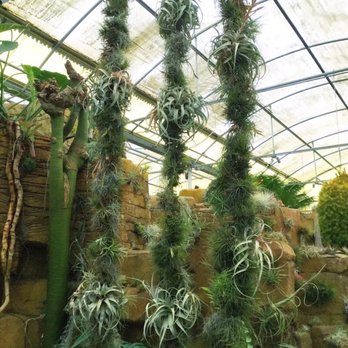 Rainforest Flora - Nurseries & Gardening Near Me - Torrance, California Rainforest Flora - Nurseries & Gardening Near Me - Torrance, California