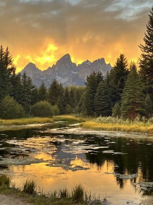 Schwabacher Landing by null