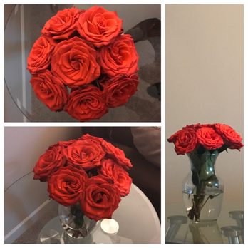 Trader Joe's - $5.49, bloomed beautifully! Good job, Trader Joe's. - Grocery Near Me - Charlotte, North Carolina Trader Joe's - $5.49, bloomed beautifully! Good job, Trader Joe's. - Grocery Near Me - Charlotte, North Carolina