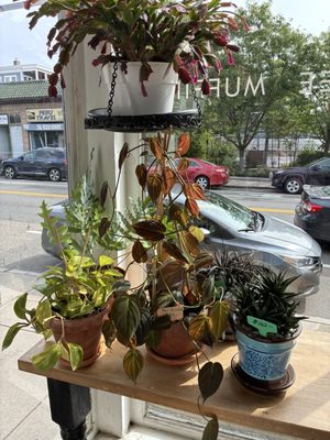 Fiore's Bakery by null