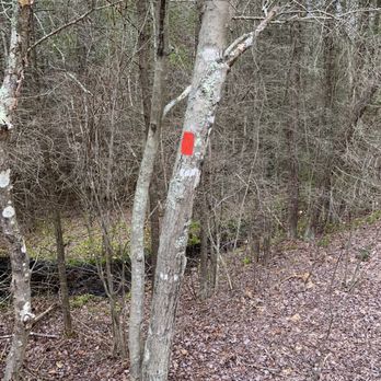 Double Trouble State Park - Blazed trails - Hiking Near Me - Bayville, New Jersey