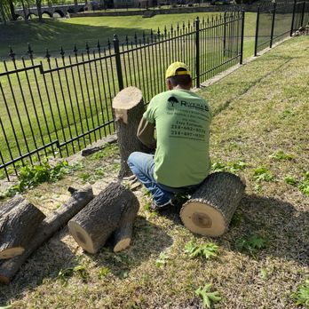 Rivera’s Tree Service - Tree Services Near Me - Lewisville, Texas Rivera’s Tree Service - Tree Services Near Me - Lewisville, Texas