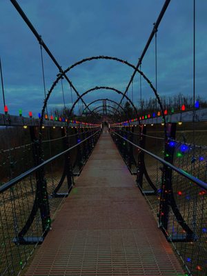 SkyBridge Michigan by null