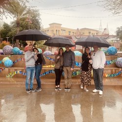 Sip and Savor Tours