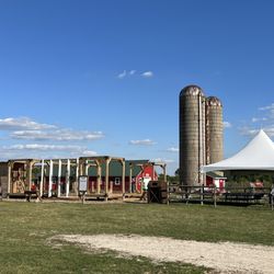  Woody's Orchard & Family Fun Farm