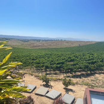 Callaway Vineyard & Winery - Stunning view. - Wineries Near Me - Temecula, California