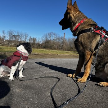 Kelevra’s Training - Pet Training Near Me - North Wilkesboro, North Carolina Kelevra’s Training - Pet Training Near Me - North Wilkesboro, North Carolina
