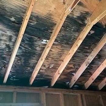 Powell Properly Management - Mold removal - Handyman Near Me - Grafton, West Virginia Powell Properly Management - Mold removal - Handyman Near Me - Grafton, West Virginia