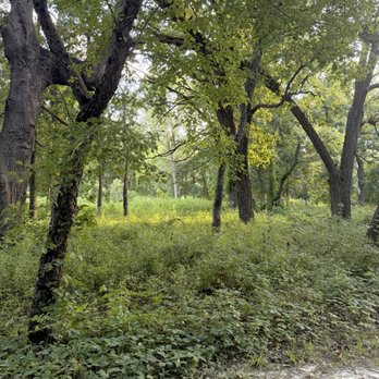 Waterfall Glen Forest Preserve - Trail - Parks Near Me - Darien, Illinois Waterfall Glen Forest Preserve - Trail - Parks Near Me - Darien, Illinois